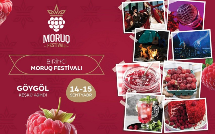 Azərbaycanda ilk dəfə “Moruq Festivalı” keçiriləcək – MƏLUMAT