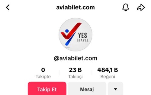 “Yes Travel” adından TikTokda saxta profil yaradanlar ifşa edilib – FOTO