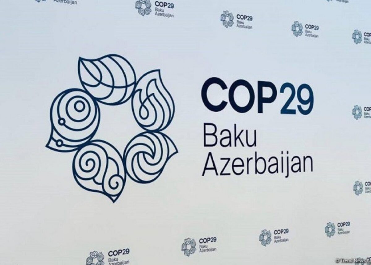 “COP29 Xüsusi Viza”sını haradan almaq olar? – AÇIQLAMA