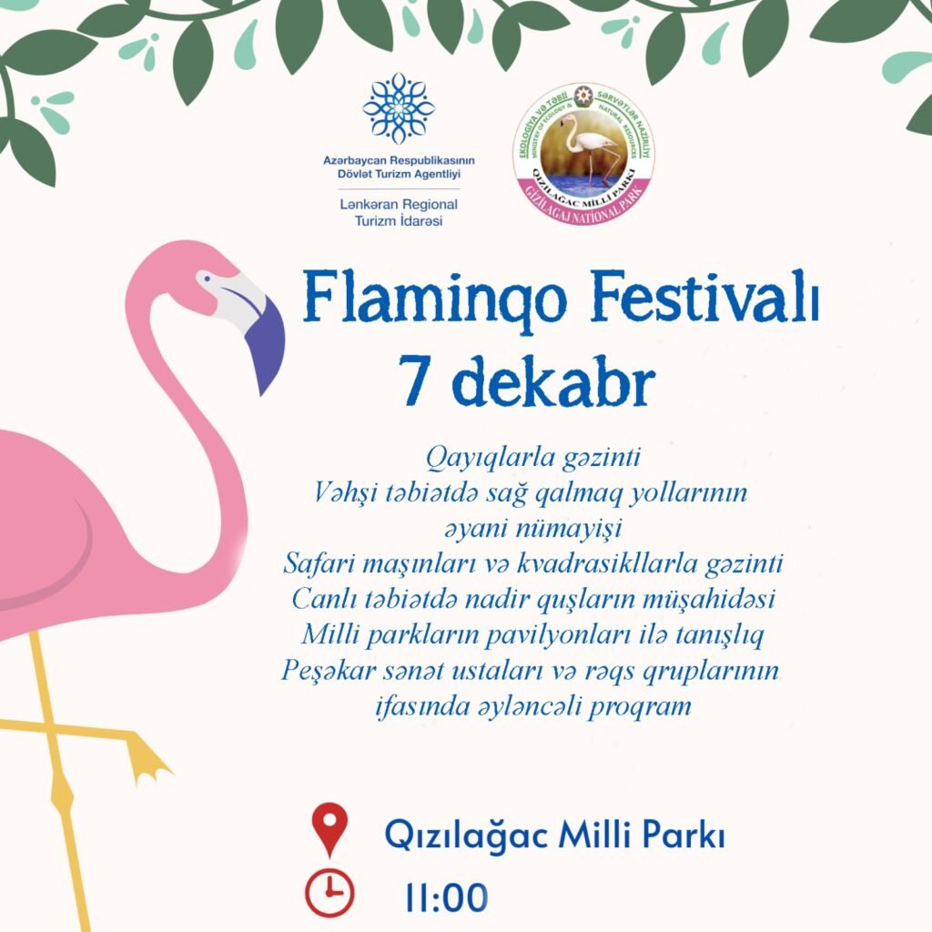 Azərbaycanda “Flaminqo Festivalı” təşkil ediləcək