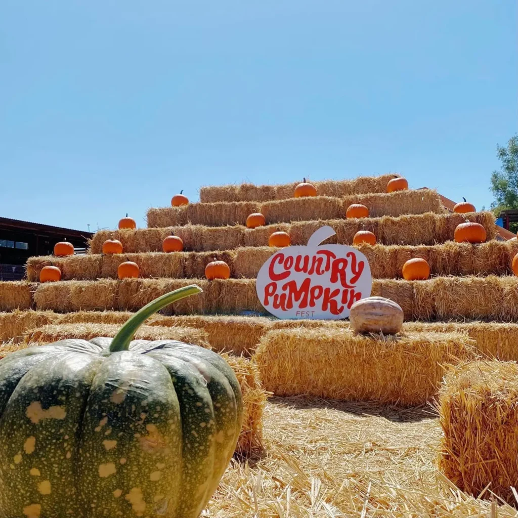 Sea Breeze-də “Pumpkin Fest by CaspiMayr” keçiriləcək